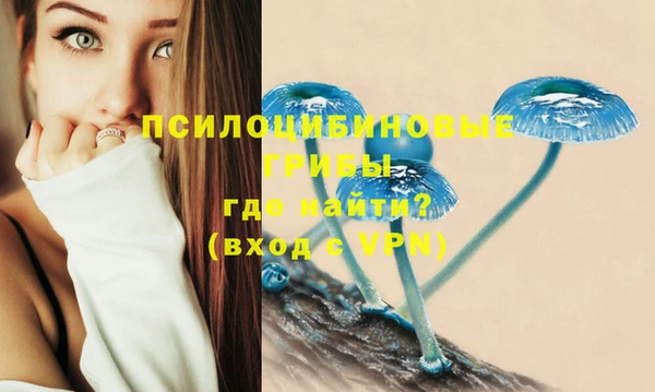 спиды Абинск